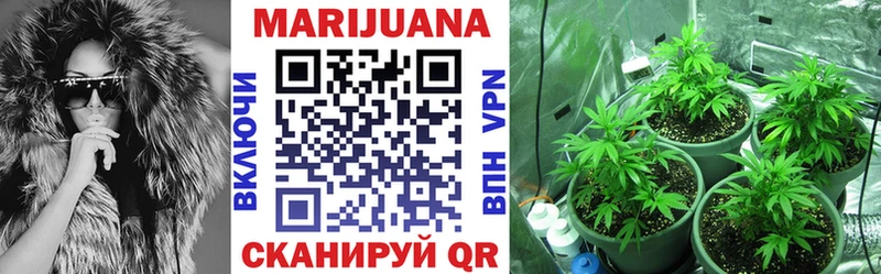 Купить закладки  Кириши  МАРИХУАНА Ganja 
